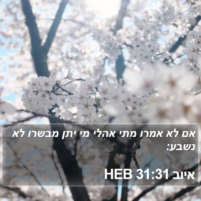 איוב 31:31 HEB Bible Verse Image
