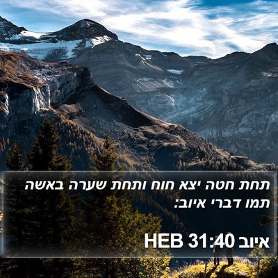 איוב 31:40 HEB Bible Verse Image