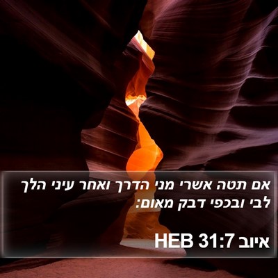 איוב 31:7 HEB Bible Verse Image