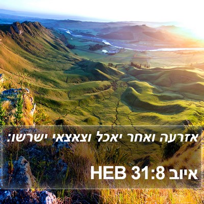 איוב 31:8 HEB Bible Verse Image