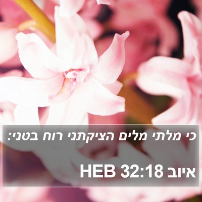 איוב 32:18 HEB Bible Verse Image