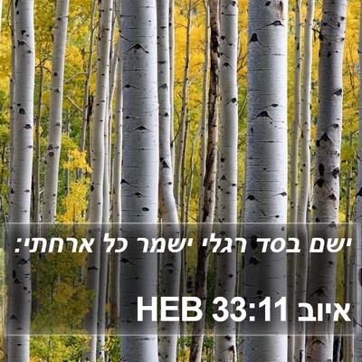 איוב 33:11 HEB Bible Verse Image
