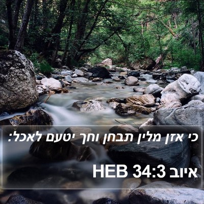 איוב 34:3 HEB Bible Verse Image