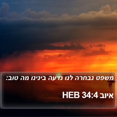איוב 34:4 HEB Bible Verse Image