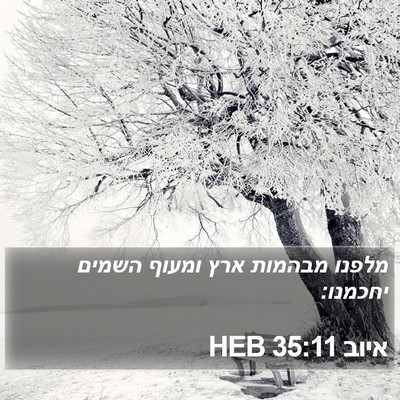 איוב 35:11 HEB Bible Verse Image