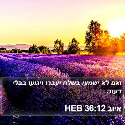 איוב 36:12 HEB Bible Verse Image