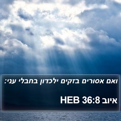 איוב 36:8 HEB Bible Verse Image