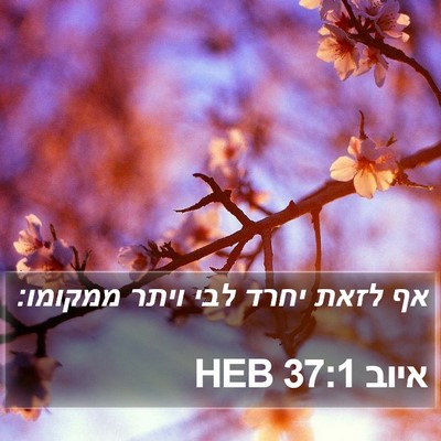 איוב 37:1 HEB Bible Verse Image