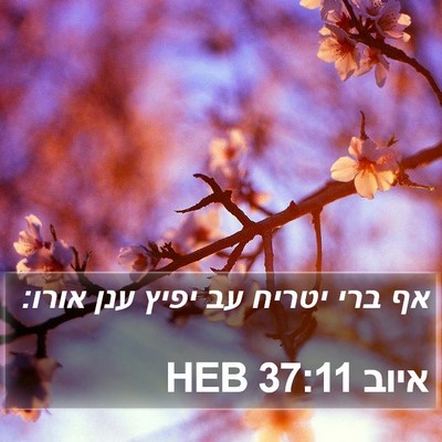 איוב 37:11 HEB Bible Verse Image