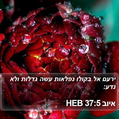 איוב 37:5 HEB Bible Verse Image