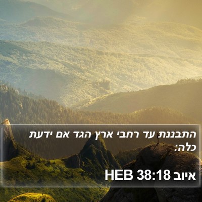 איוב 38:18 HEB Bible Verse Image