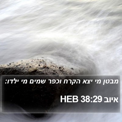 איוב 38:29 HEB Bible Verse Image