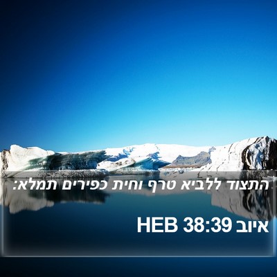 איוב 38:39 HEB Bible Verse Image