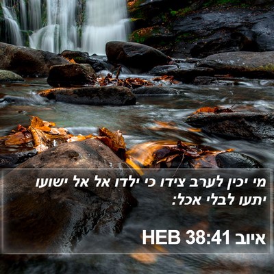 איוב 38:41 HEB Bible Verse Image