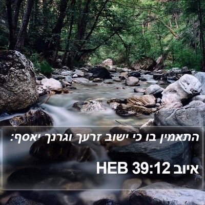 איוב 39:12 HEB Bible Verse Image