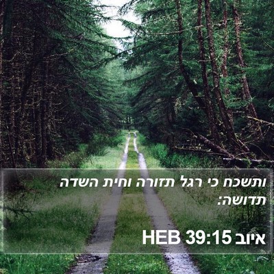 איוב 39:15 HEB Bible Verse Image