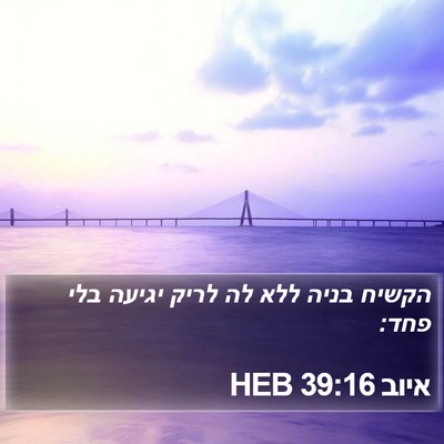 איוב 39:16 HEB Bible Verse Image