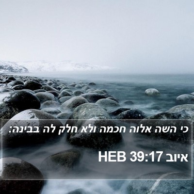 איוב 39:17 HEB Bible Verse Image