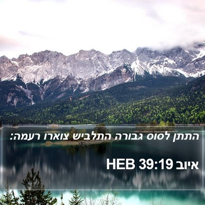 איוב 39:19 HEB Bible Verse Image