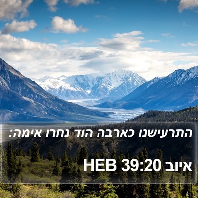 איוב 39:20 HEB Bible Verse Image