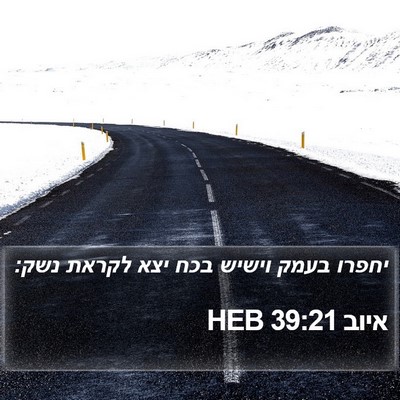 איוב 39:21 HEB Bible Verse Image
