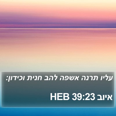 איוב 39:23 HEB Bible Verse Image