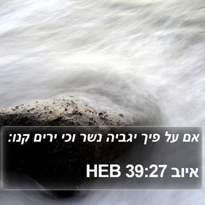 איוב 39:27 HEB Bible Verse Image