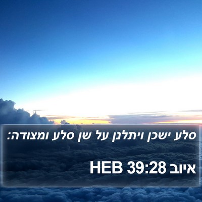 איוב 39:28 HEB Bible Verse Image