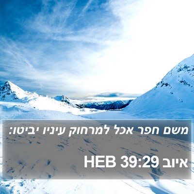 איוב 39:29 HEB Bible Verse Image
