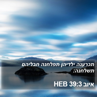 איוב 39:3 HEB Bible Verse Image