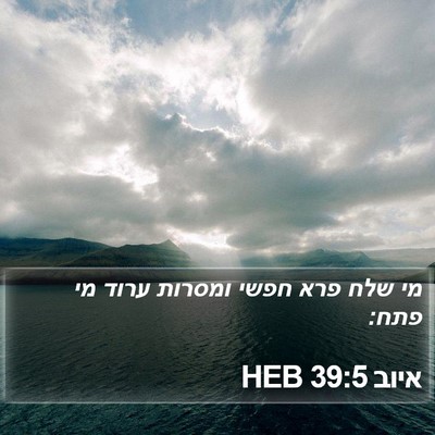 איוב 39:5 HEB Bible Verse Image
