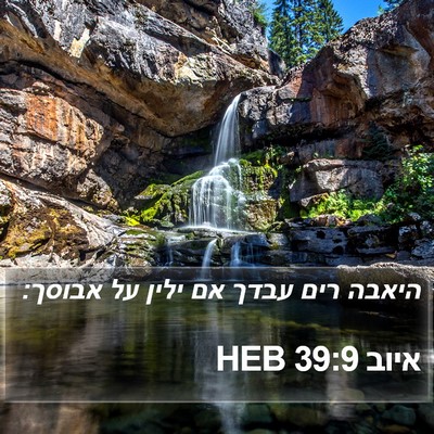 איוב 39:9 HEB Bible Verse Image