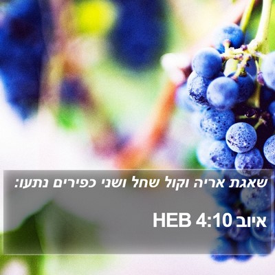 איוב 4:10 HEB Bible Verse Image