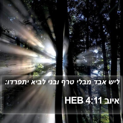 איוב 4:11 HEB Bible Verse Image
