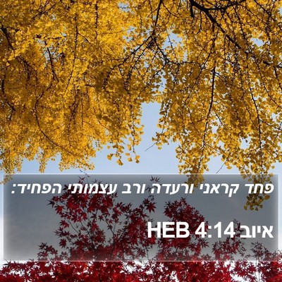 איוב 4:14 HEB Bible Verse Image