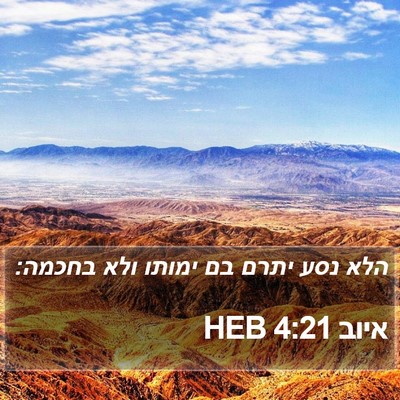 איוב 4:21 HEB Bible Verse Image