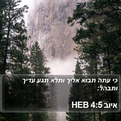 איוב 4:5 HEB Bible Verse Image