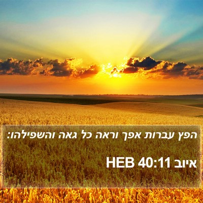 איוב 40:11 HEB Bible Verse Image