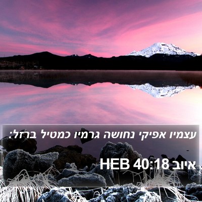 איוב 40:18 HEB Bible Verse Image