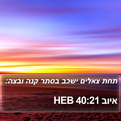 איוב 40:21 HEB Bible Verse Image