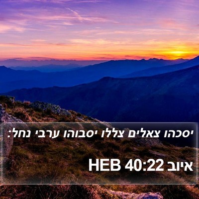 איוב 40:22 HEB Bible Verse Image