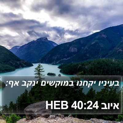 איוב 40:24 HEB Bible Verse Image