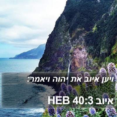 איוב 40:3 HEB Bible Verse Image
