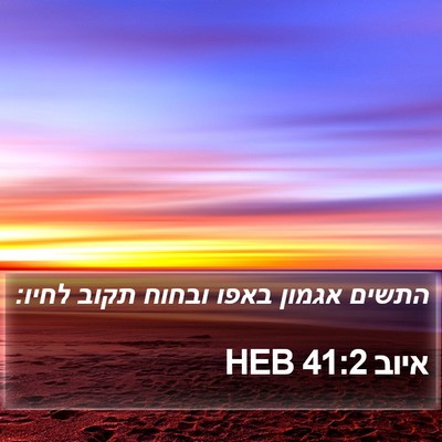 איוב 41:2 HEB Bible Verse Image