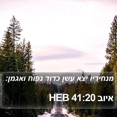 איוב 41:20 HEB Bible Verse Image