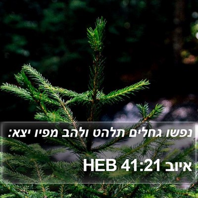 איוב 41:21 HEB Bible Verse Image