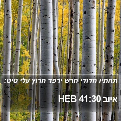 איוב 41:30 HEB Bible Verse Image