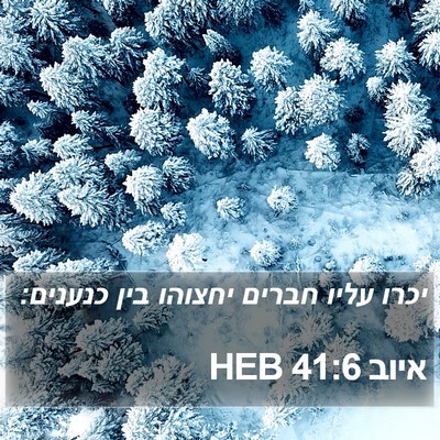 איוב 41:6 HEB Bible Verse Image