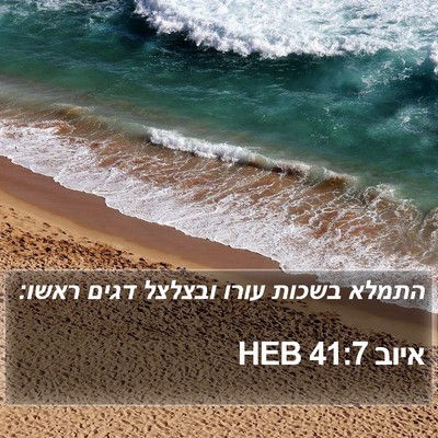 איוב 41:7 HEB Bible Verse Image
