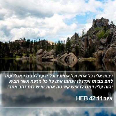 איוב 42:11 HEB Bible Verse Image